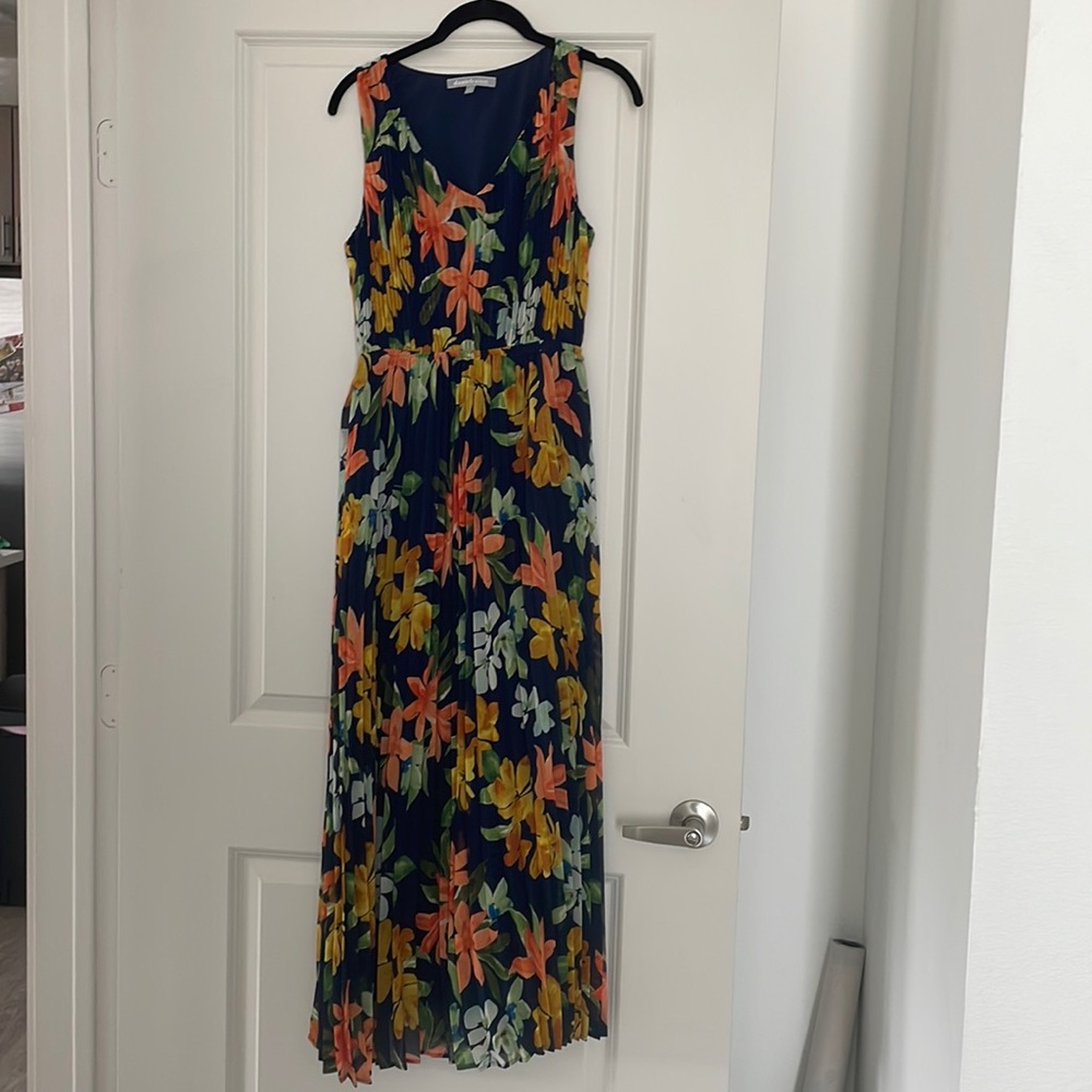 Daniel Rainn Kiera Plisse maxi dress
